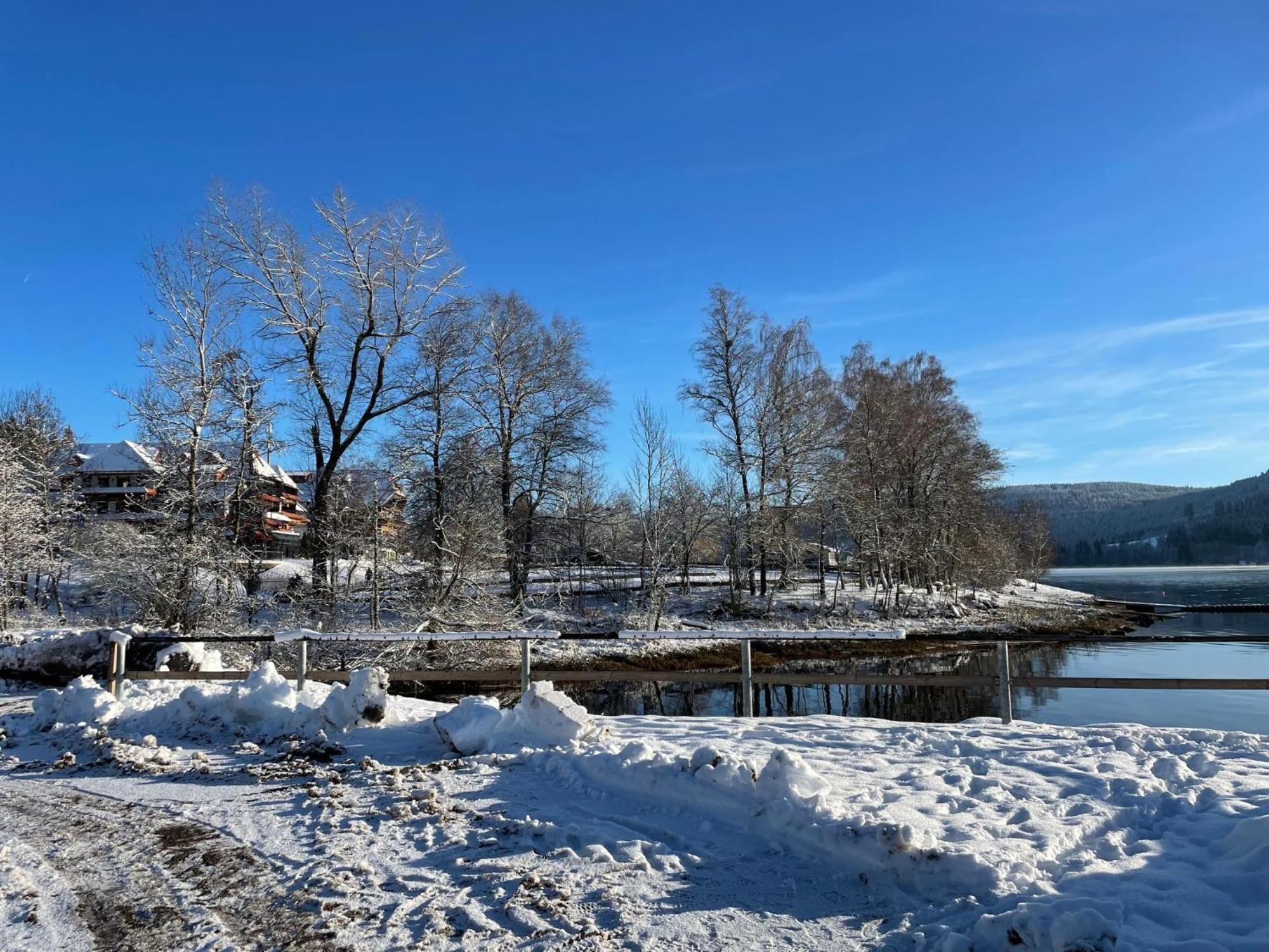 Apartment Schleuniger Schluchsee Exterior foto